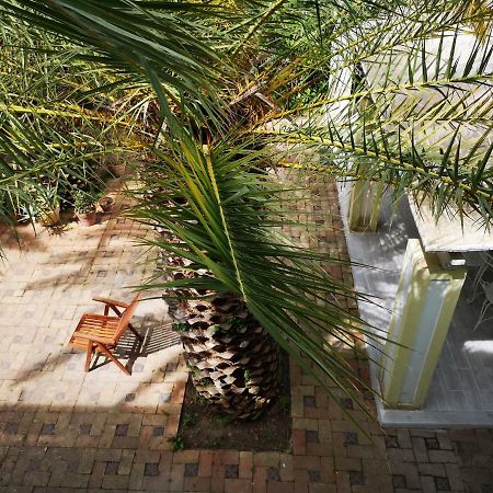B&B La Salamandra Kitchengarden Forio  Exterior photo